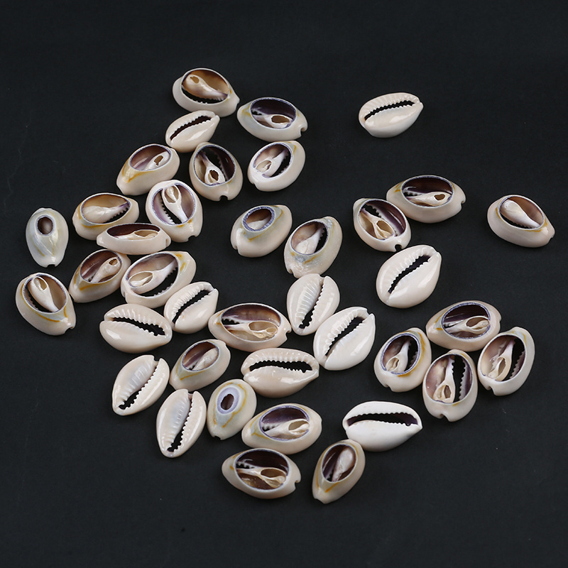 Natural Craft Half Cut Split Sea Shell Cowrie Shell Decor Seashell Conch Shell