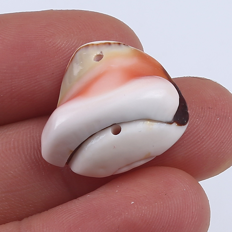 High Polished White Color Seashell Natural Craft Loose Cowrie Sea Shell For DIY