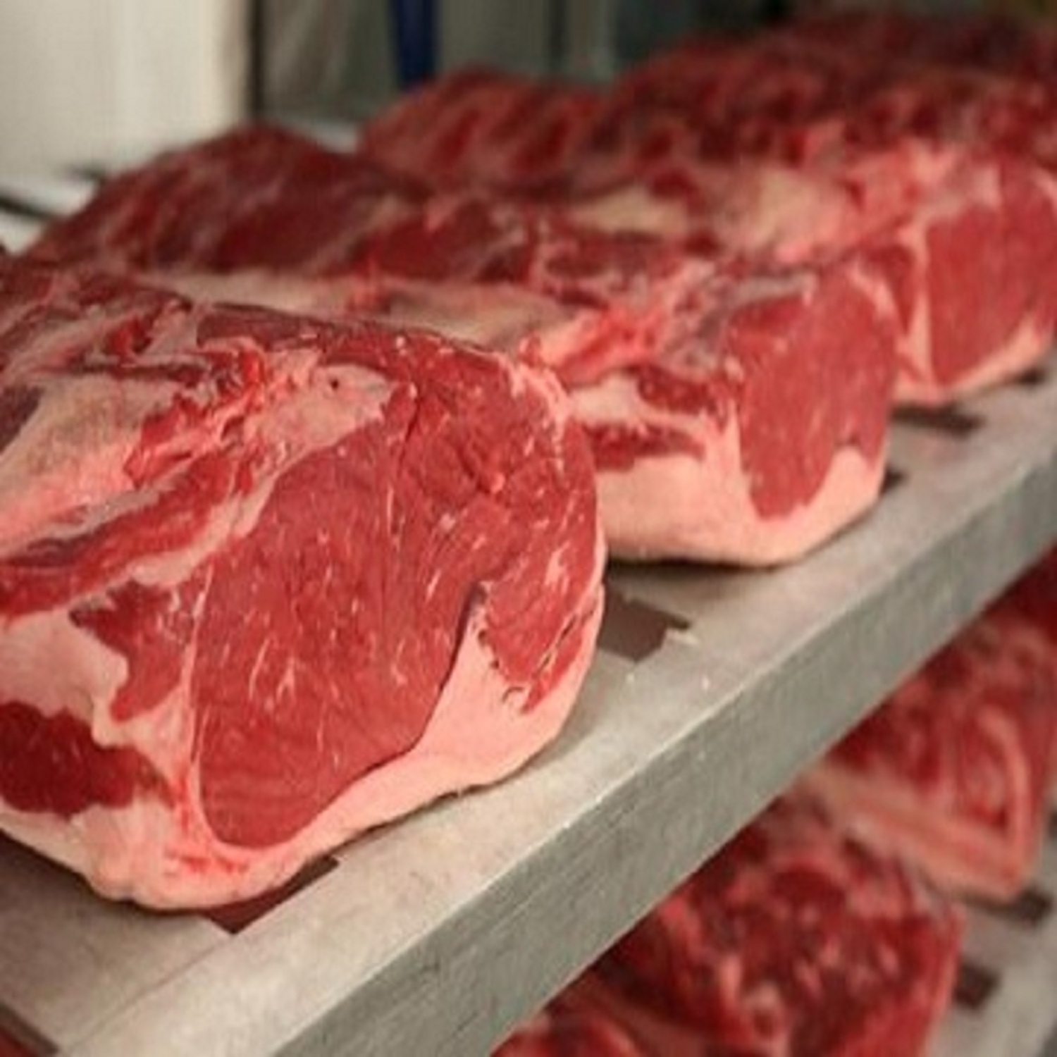 Frozen Halal Beef Meat (Tenderloins) / BUFFALO MEAT FOR SALE