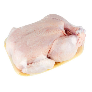 Wholesale Frozen chicken