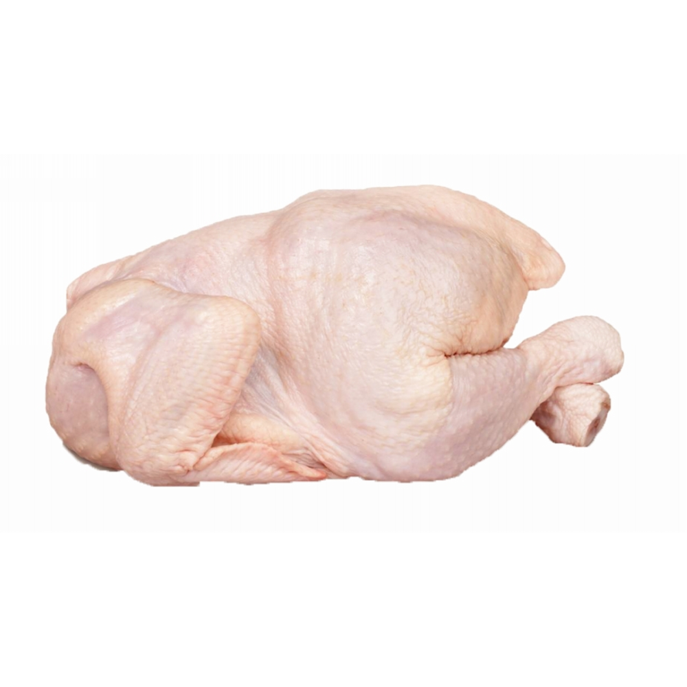 Wholesale Frozen chicken