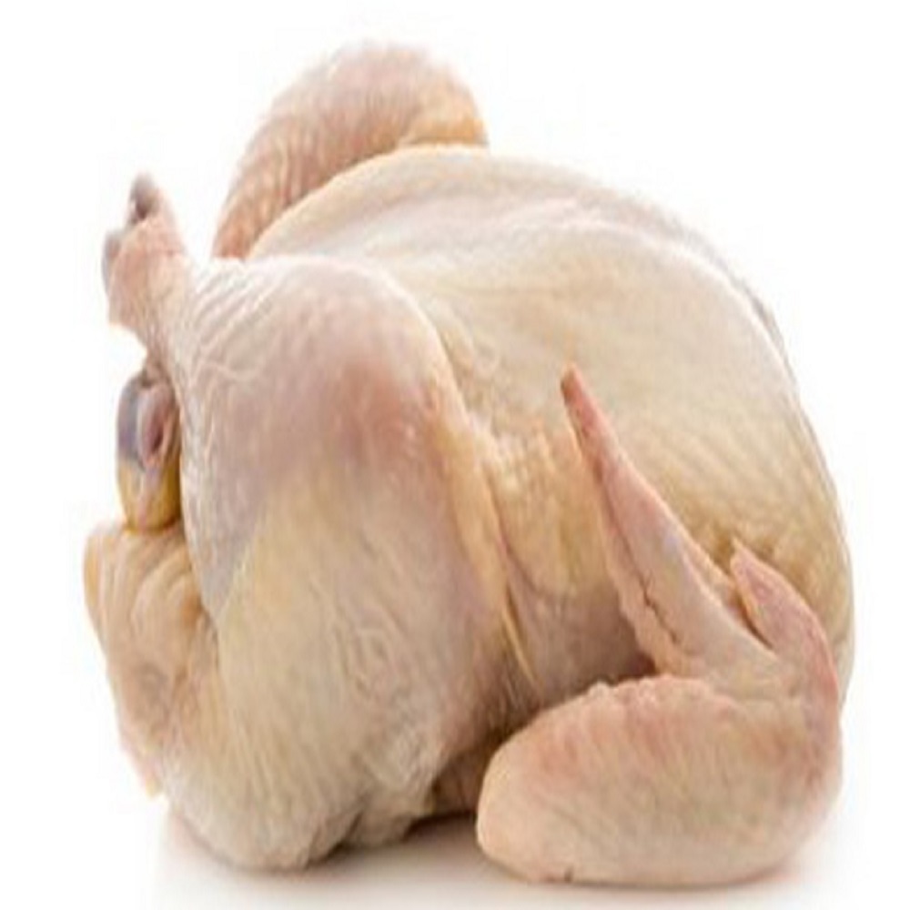 Wholesale Frozen chicken