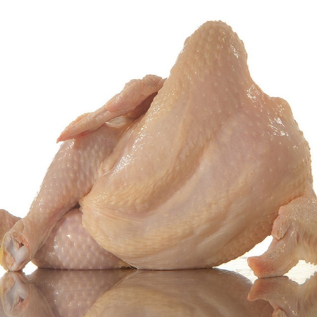 Wholesale Frozen chicken