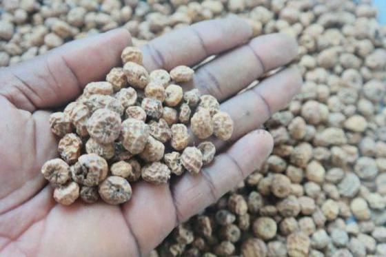 Raw Peeled Tiger Nuts, Tiger Nut Flour, Sliced Tiger Nuts now available on 30% discount sale