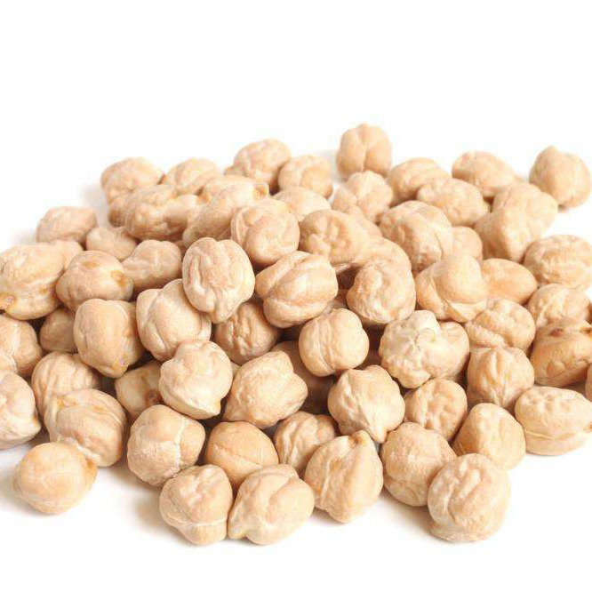 100% Natural Bulk Chickpeas Dried Raw For Food Large 7mm - 9mm Pure Healthy Organic Chickpeas Egypt Top selling