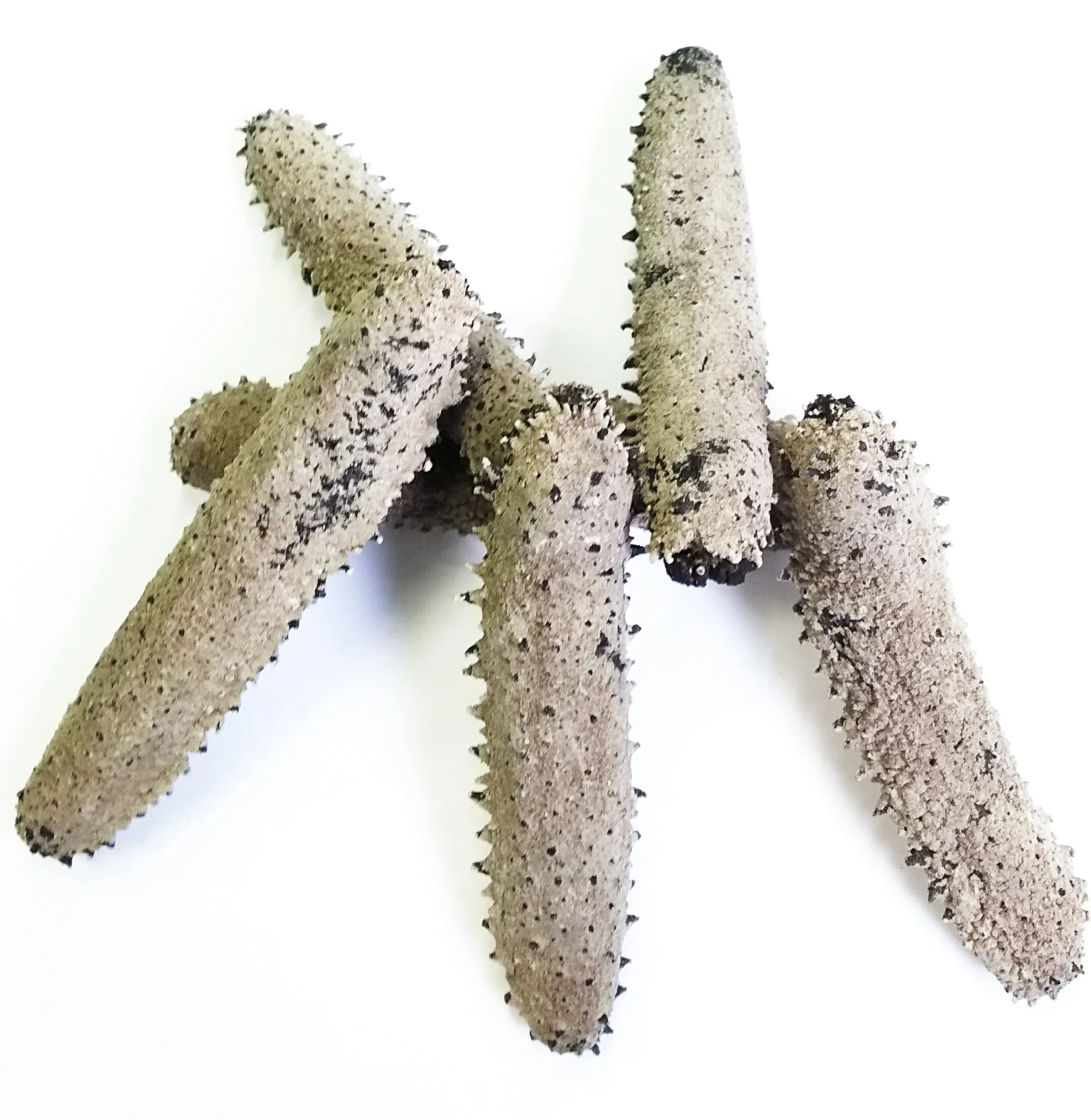 Amazing Factory Supply Hot Sale Dried Sea Cucumber 10:1 Sea Cucumber best wholesale market prices