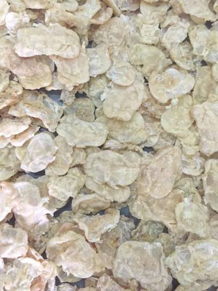 Dried Fish Maw / Dried Catfish Maw CHEAPEST PRICE