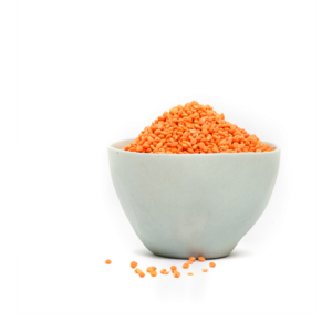 Factory Price High Quality Red Lentils Football Quality Red Lentils/ Whole Masoor Dal