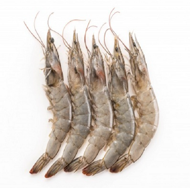 Frozen raw tiger prawns Stock Big sea food frozen prawn Shrimp Frozen Vannamei Shrimps with Cheap Price Quality White Prawns