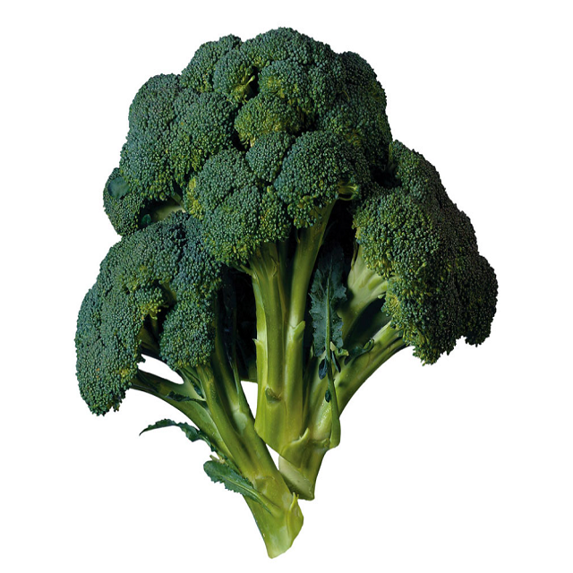 Direct Factory Wholesale Cheap Price Fresh Place Model Maturity Cultivation Broccoli Frozen Vegetable Broccoli