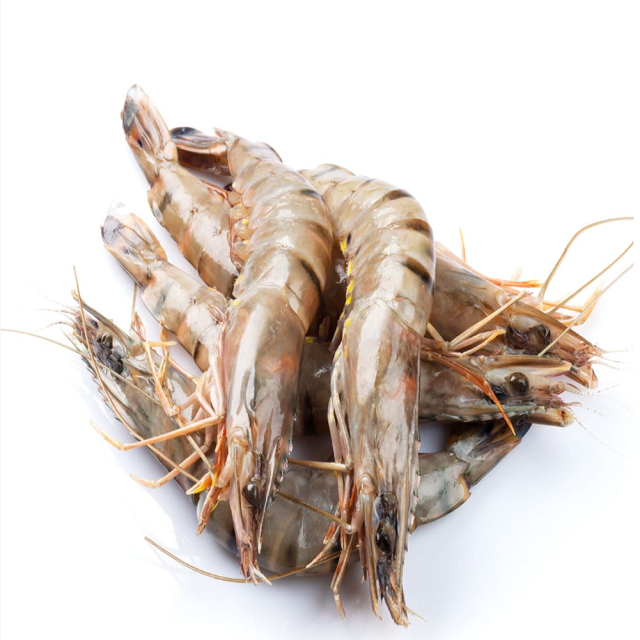 Frozen raw tiger prawns Stock Big sea food frozen prawn Shrimp Frozen Vannamei Shrimps with Cheap Price Quality White Prawns