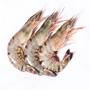 Frozen raw tiger prawns Stock Big sea food frozen prawn Shrimp Frozen Vannamei Shrimps with Cheap Price Quality White Prawns