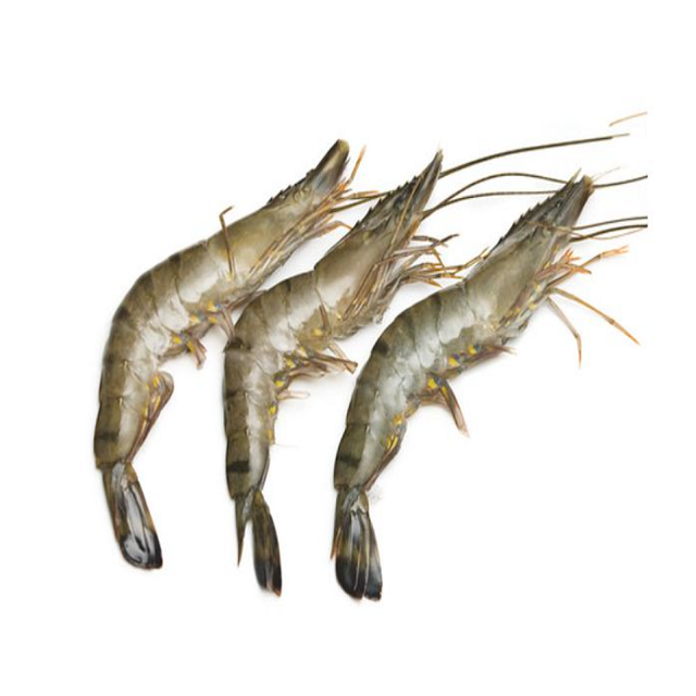 Frozen raw tiger prawns Stock Big sea food frozen prawn Shrimp Frozen Vannamei Shrimps with Cheap Price Quality White Prawns