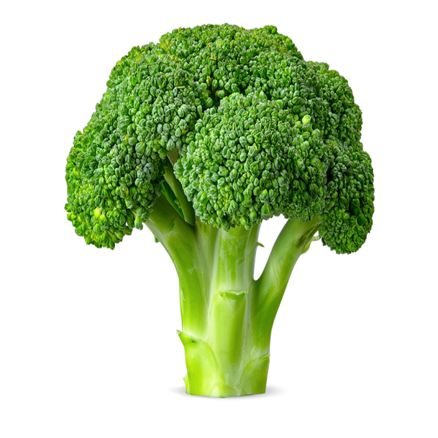 Direct Factory Wholesale Cheap Price Fresh Place Model Maturity Cultivation Broccoli Frozen Vegetable Broccoli