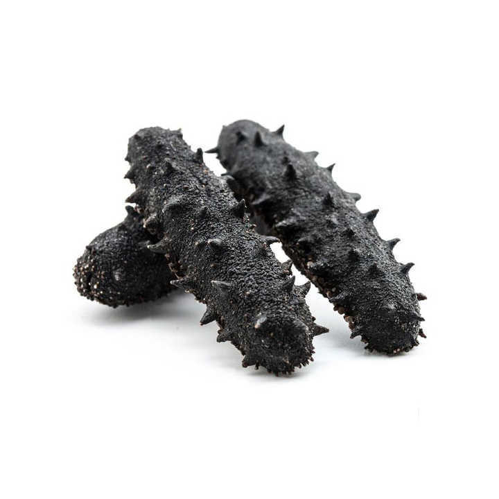 Frozen Sea Cucumber / Fresh Sea Cucumber Best Wholesale Priced Dried & Frozen Sea Cucumber