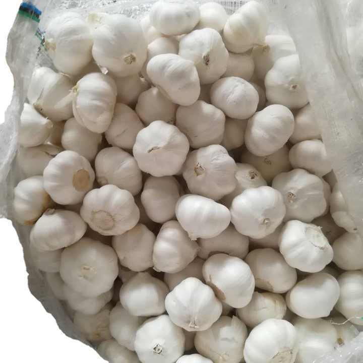 Wholesale Garlic with Fresh Taste and Long Shelf Life Frozen Garlic