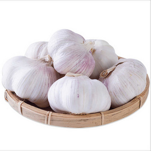 Wholesale Garlic with Fresh Taste and Long Shelf Life Frozen Garlic