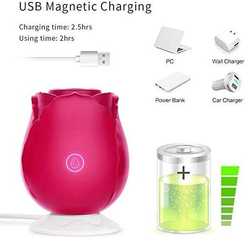 Rose Toys Magnetic USB Charge Cable magnetic USB rechargeable