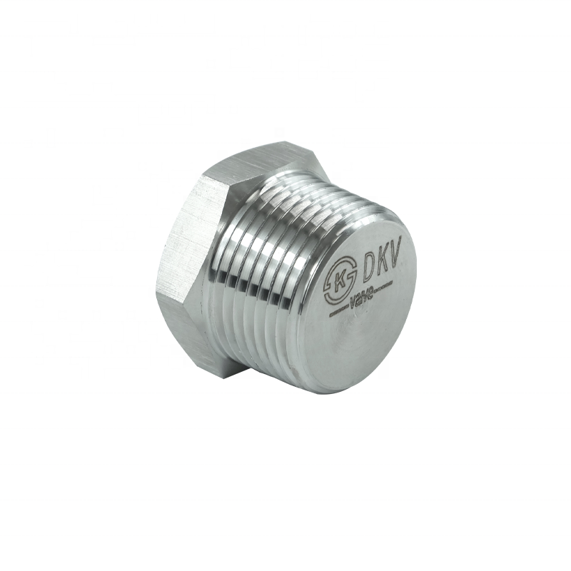 DKV M30 M13 M4 M5 M8 M6 stainless steel pipe fittings ss304/316L threaded hexagonal plug High Pressure Hex Plugs