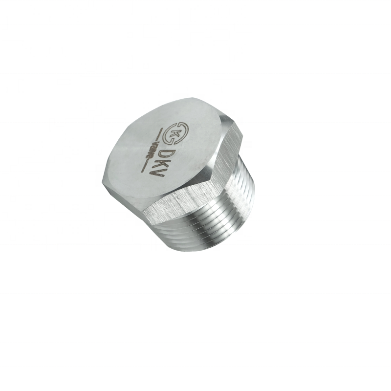 DKV M30 M13 M4 M5 M8 M6 stainless steel pipe fittings ss304/316L threaded hexagonal plug High Pressure Hex Plugs