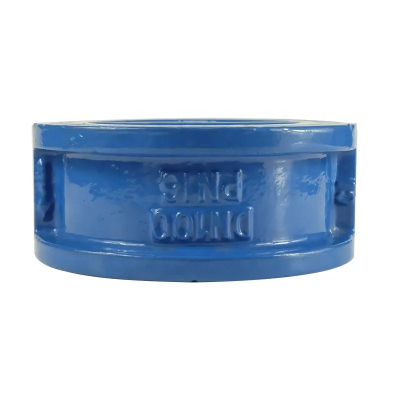 DKV Ductile Iron Check Valve Stainless Steel Disc DN100 PN16 Dual Plate Cast Iron Wafer Check Valve