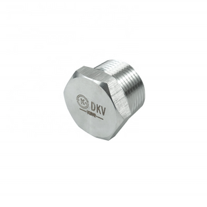 DKV M30 M13 M4 M5 M8 M6 stainless steel pipe fittings ss304/316L threaded hexagonal plug High Pressure Hex Plugs