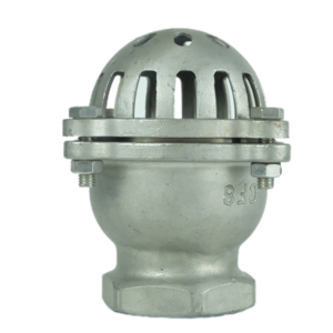 DKV Stainless Steel Foot Valve BSP thread Water Pump Bottom Valve SS304 10K Foot Lift Check Valve