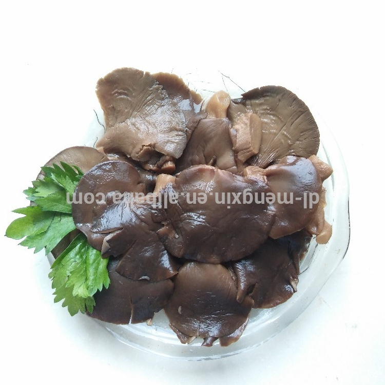 canned oyster mushroom good quality in EU market  425mlx24tins