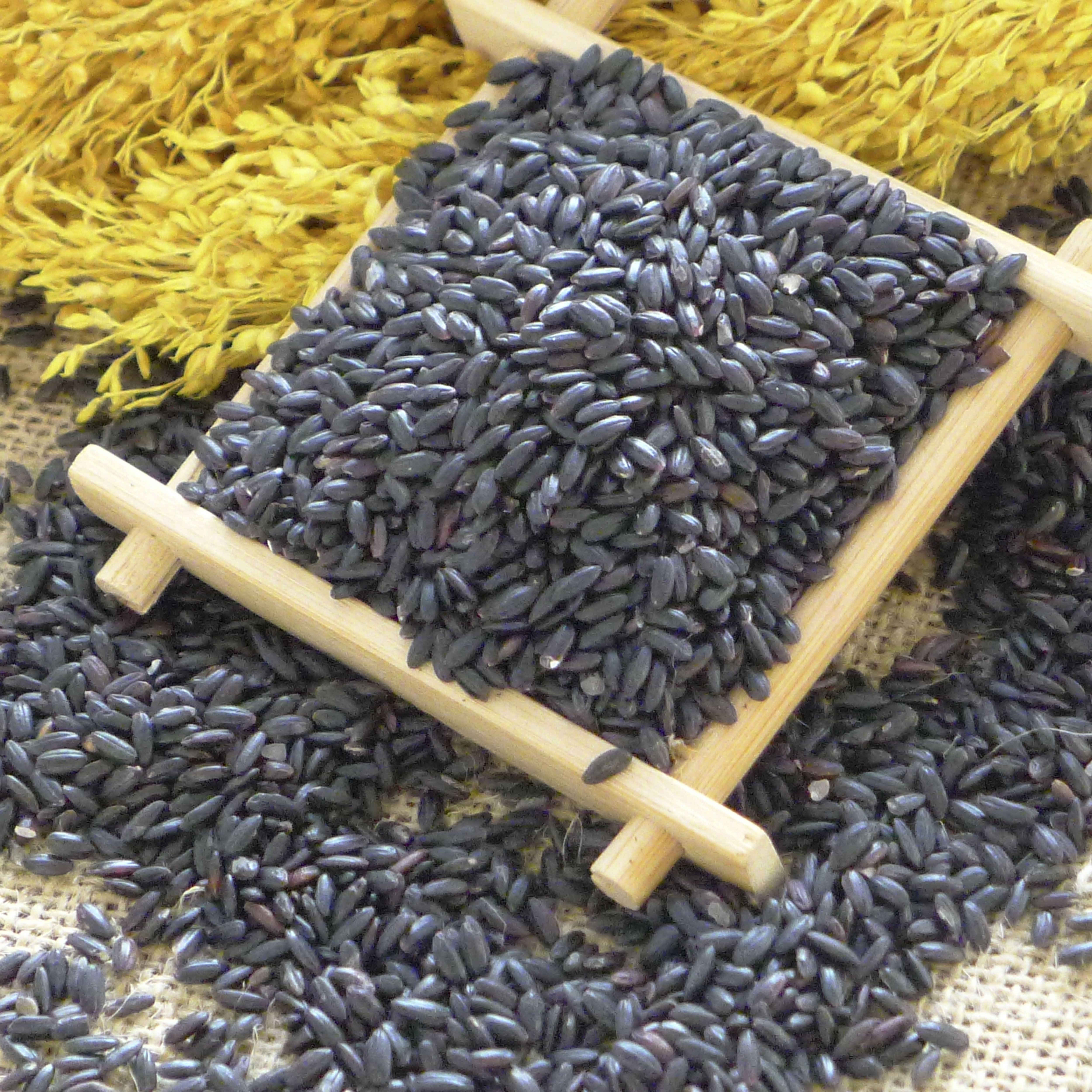 hot sale best price china origin single season rice factory cheap parboiled black rice for sale