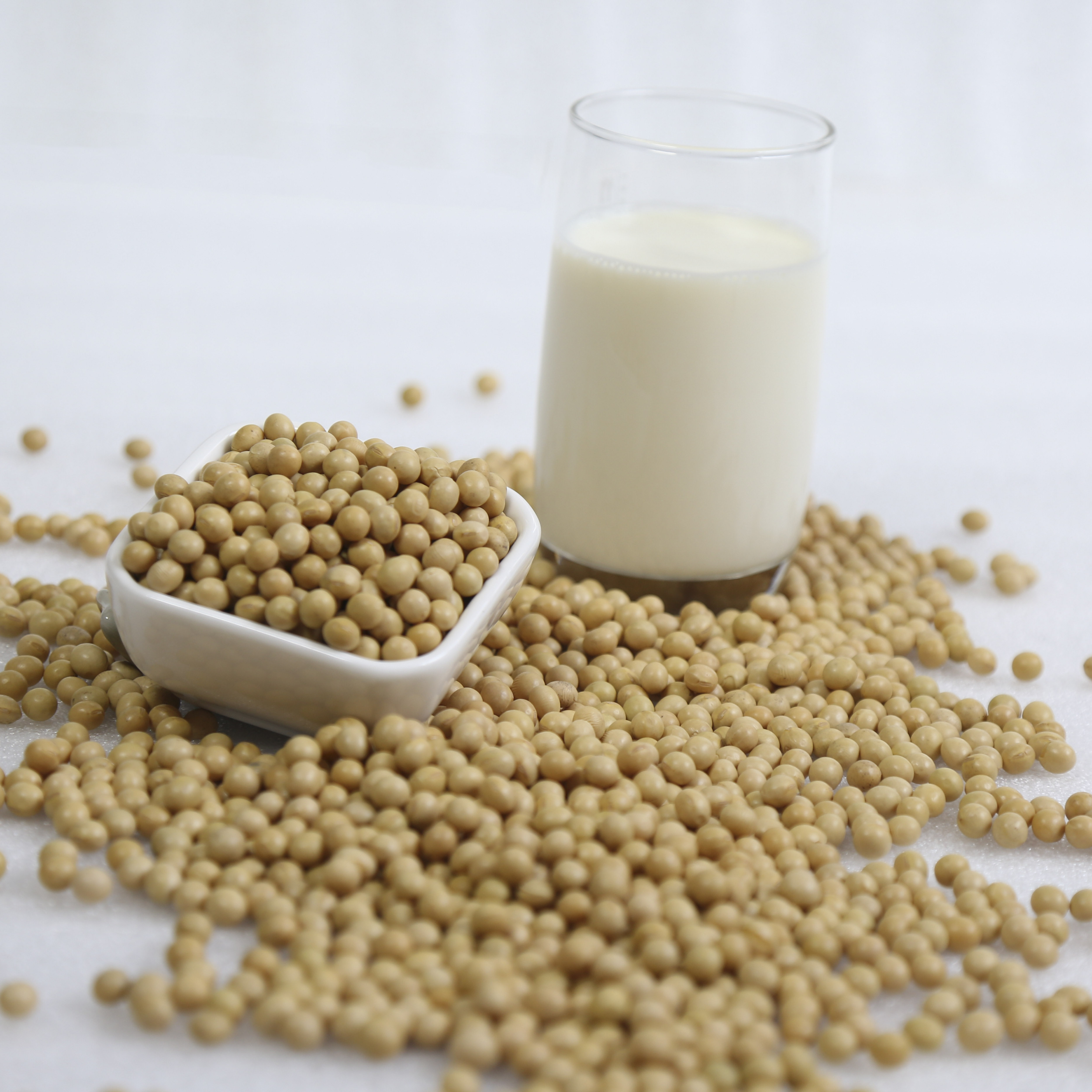 hot sale best quality china origin NON GMO soybean for export soya bean