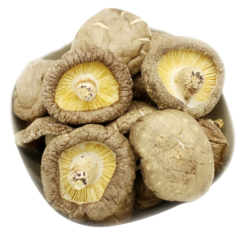 Bulk Crop Dried Log White Flower Shiitake Mushroom Flower Mushroom For Sale