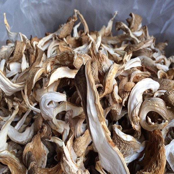 Dried oyster mushrooms