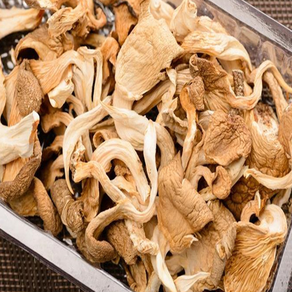 Dried oyster mushrooms