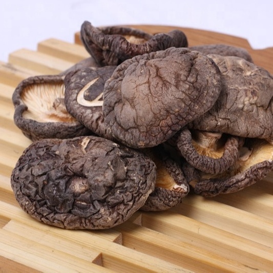 Gaishi Delicious Organic Dried whole Shitake Dried whole Shiitake Mushrooms