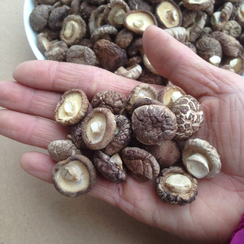 Flower Mushroom Wild Basswood Shiitake Mushrooms Dry Goods Premium Shiitake Mushrooms