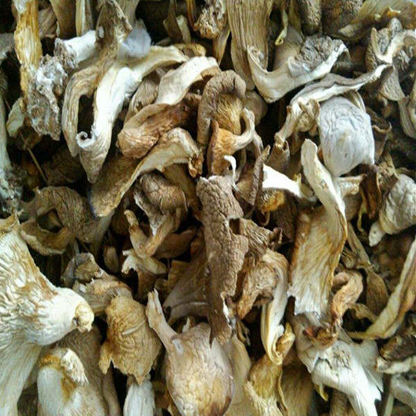 Dried oyster mushrooms