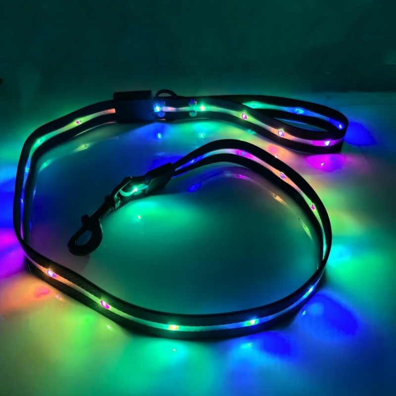 RGB Colors Can Change Color Light Up Dog Leash Led Illuminating  Pet Leashes Reflective LED USB Rechargeable Dog Lead