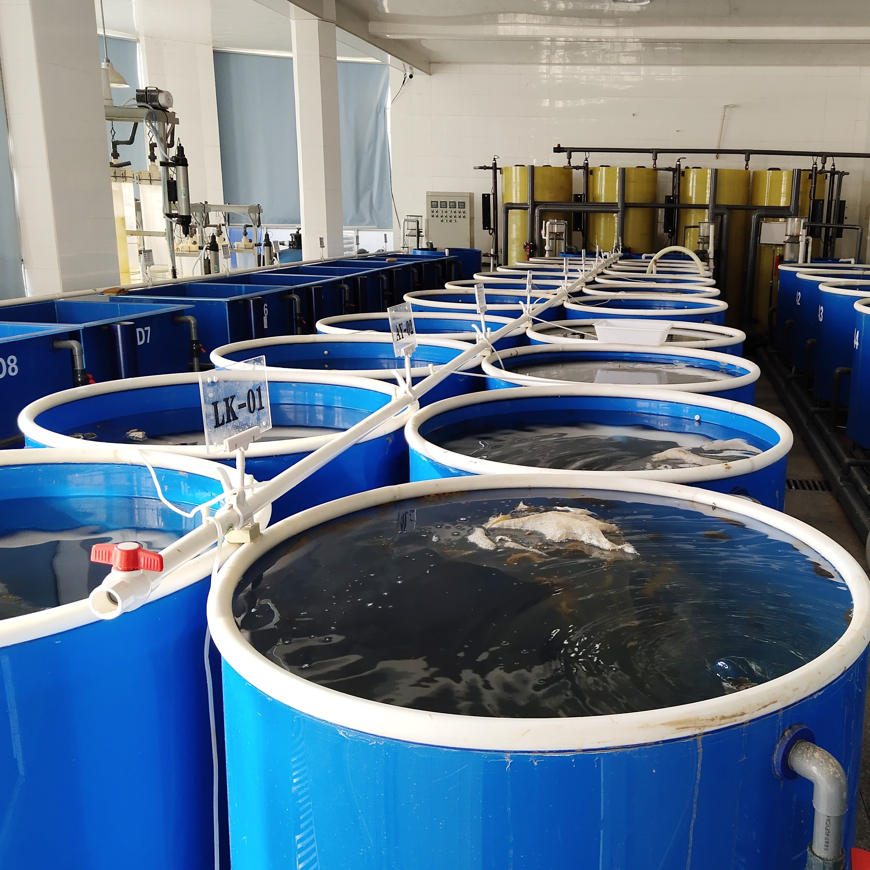 large commercial fish tanks for fish farm