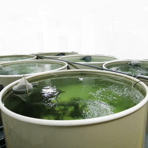 ras shrimp farming, indoor shrimp farming equipment, indoor shrimp farming