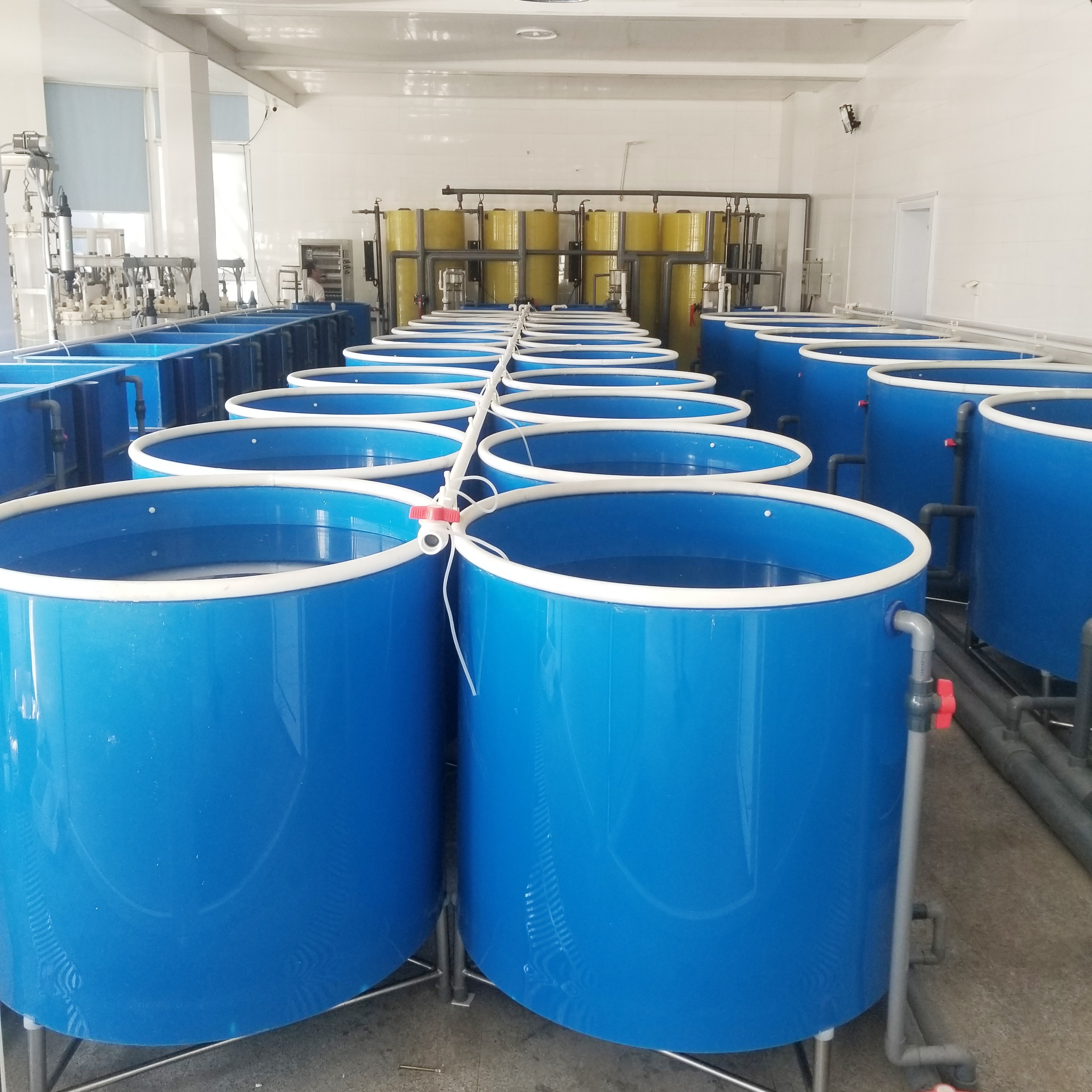 large commercial fish tanks for fish farm