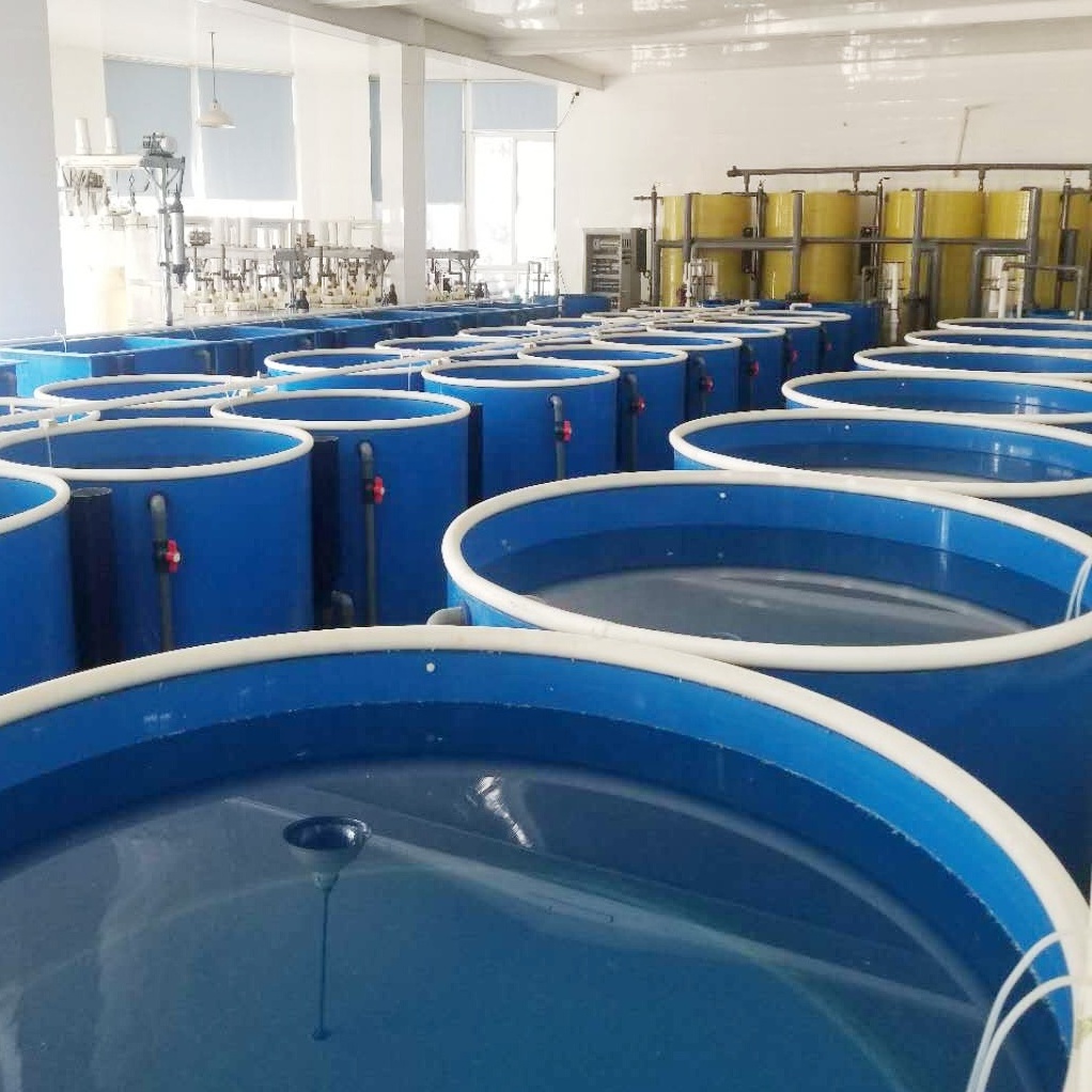 large commercial fish tanks for fish farm