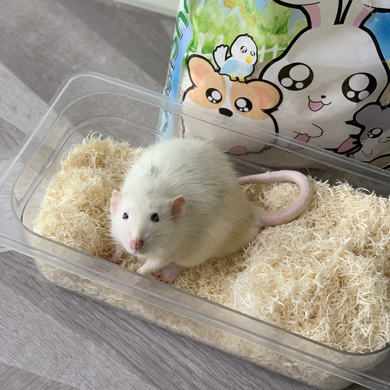 2023 Emily factory pets supply hamster Aspen Wood Shaving flakes bedding for small animals