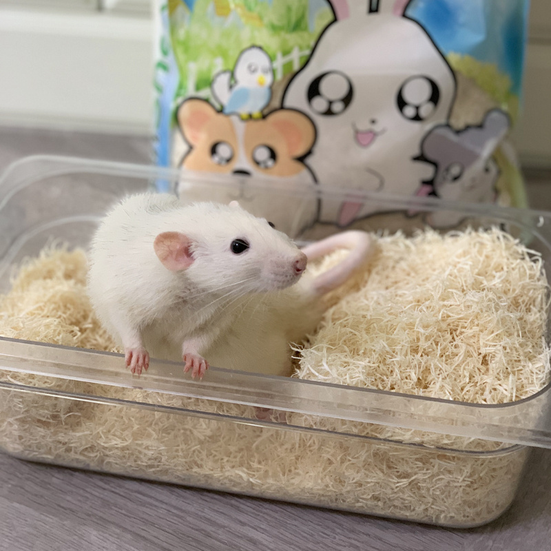 2023 Emily factory pets supply hamster Aspen Wood Shaving flakes bedding for small animals