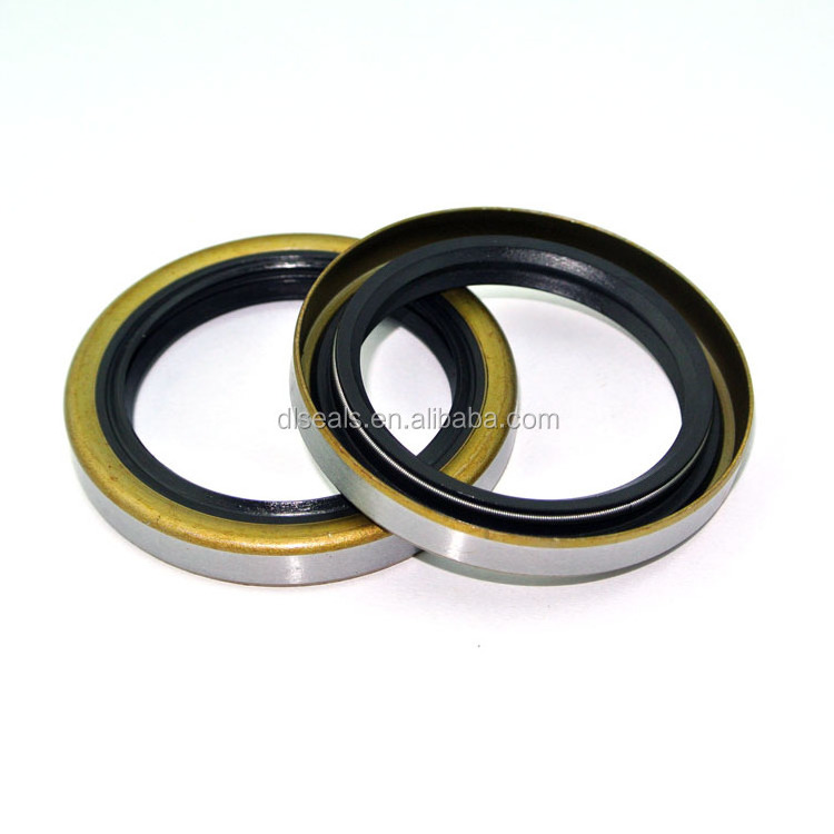 DLSEALS Custom Seal Low Price Iron Rubber Oil Seal National Size Chart PTFE Oil Seals