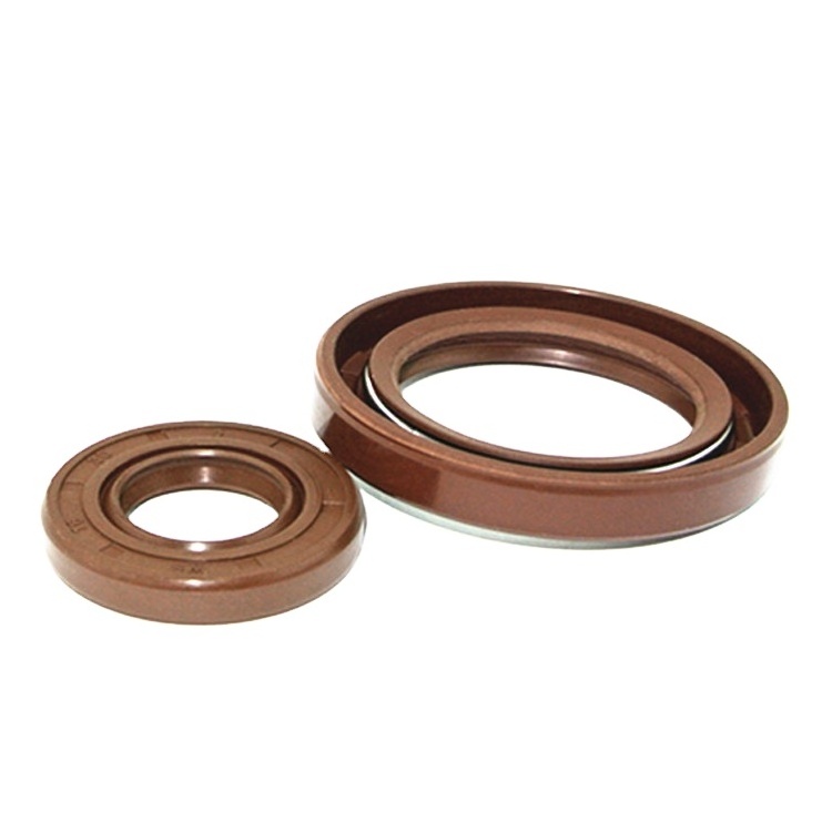 DLSEALS OEM ODM sellos de aceite High quality supplier oil seals mechanical  FKM gearbox rubber oil seal