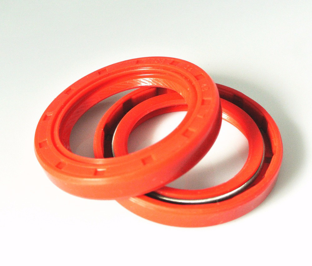 DLSEALS Standard National OIL SEAL 4353VG3 3278VG0 4048VG 2478VG0 oil seal Automotive NBR FKM rotating shaft oil seal