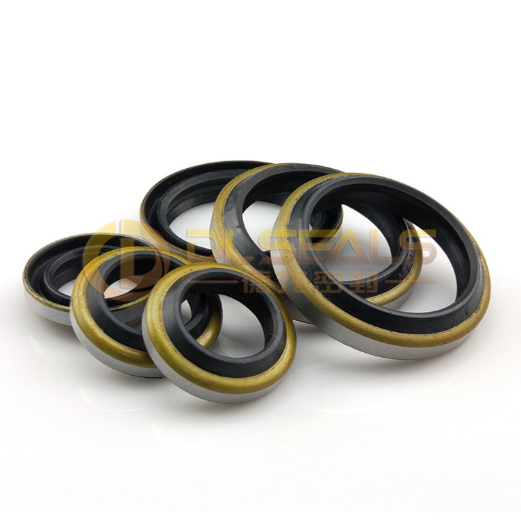 DLSEALS Quality  DKB NBR oil dust seal dust seal for shaft Hydraulic seal