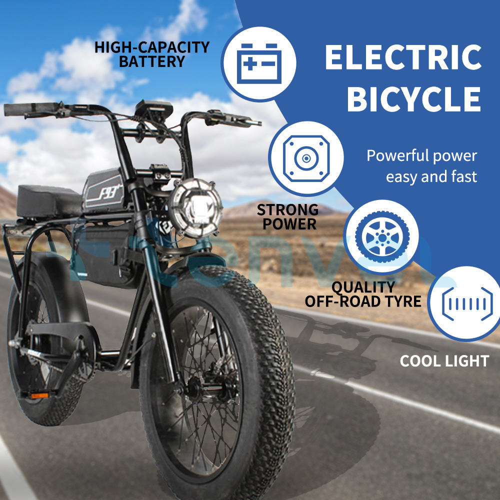 Tenvel factory 500W motor fat tire electric bike dual 48v 13AH moped style electric mountain bike