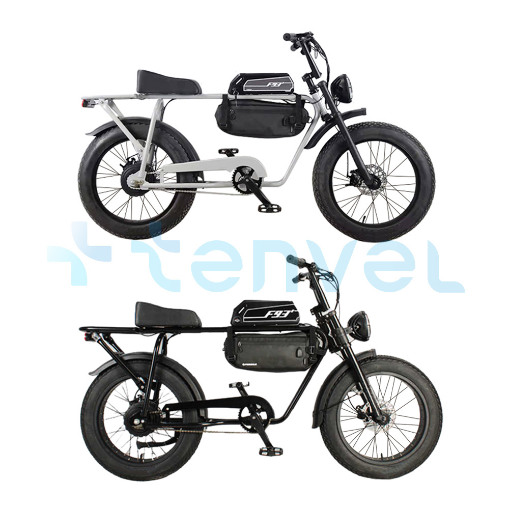 Tenvel factory 500W motor fat tire electric bike dual 48v 13AH moped style electric mountain bike