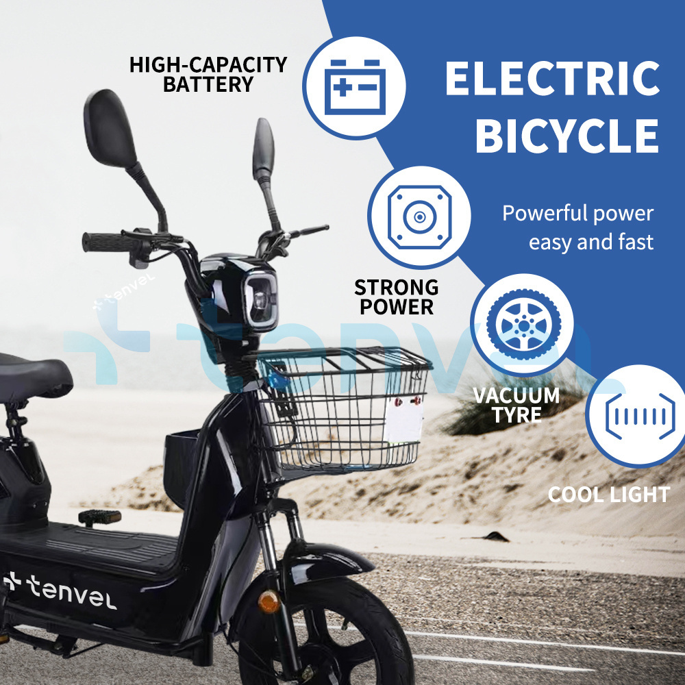 adults electric city bike 48v 20Ah 350W Mid Drive 2 Seats ebike electric city bike electric bicycle